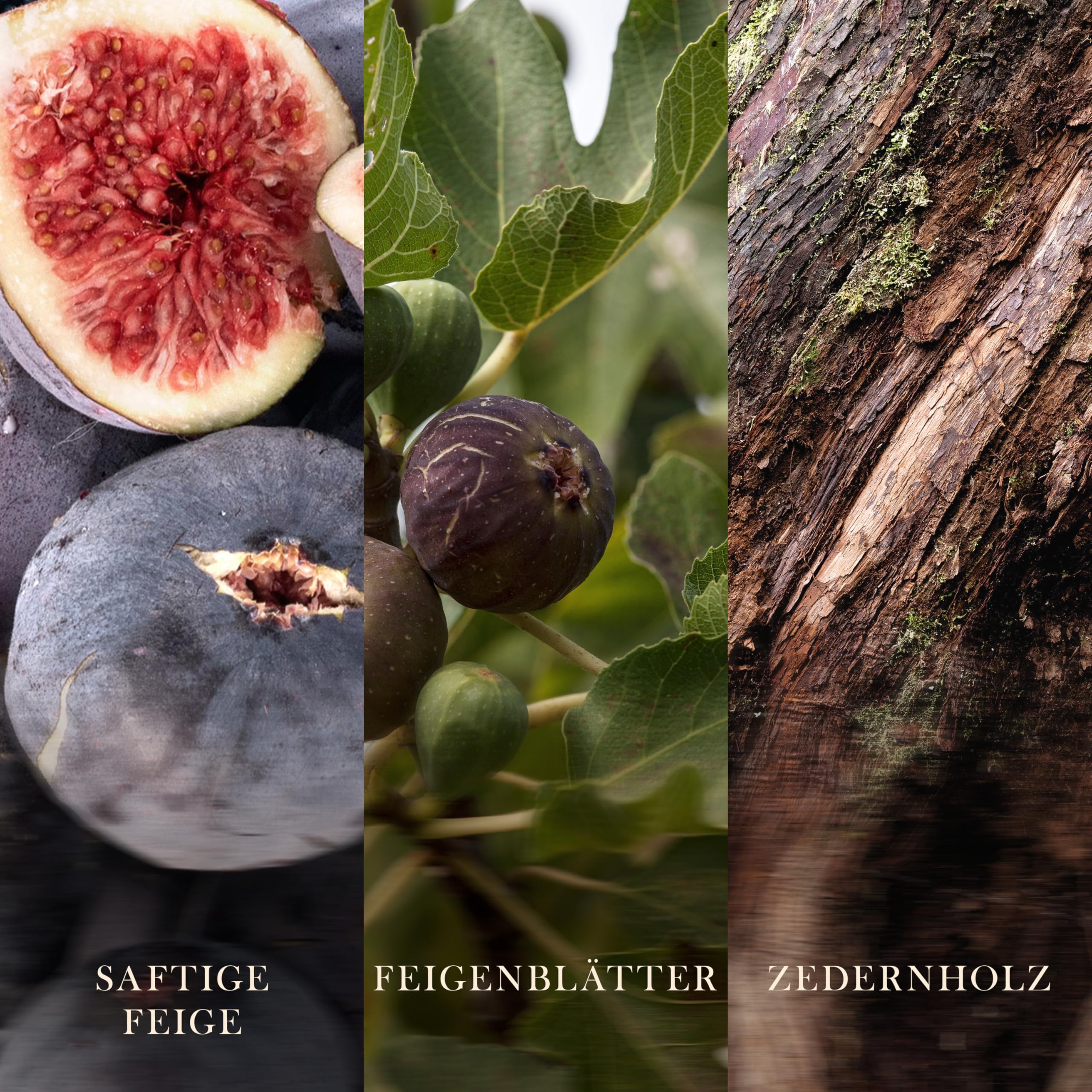 WoodWick Duftkerze | Große Sanduhr-Kerze | Verdant Fig | Perfekte Geschenke für Frauen