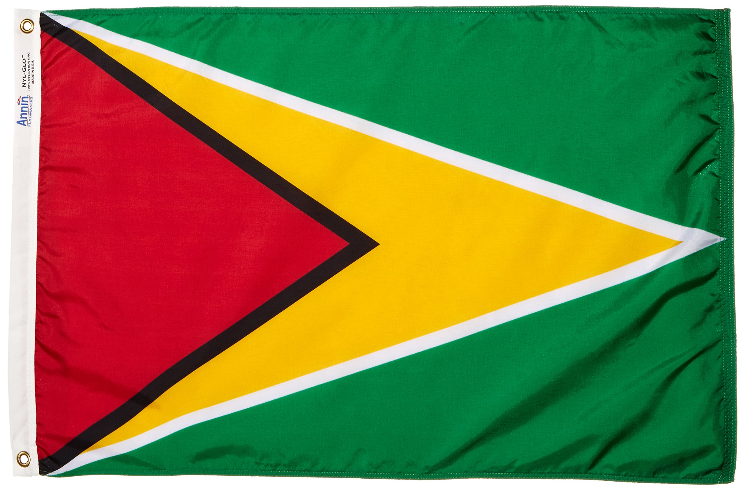 Annin Flagmakers Guyana Flag - 2x3 Ft Nylon SolarGuard Flag, Made In USA