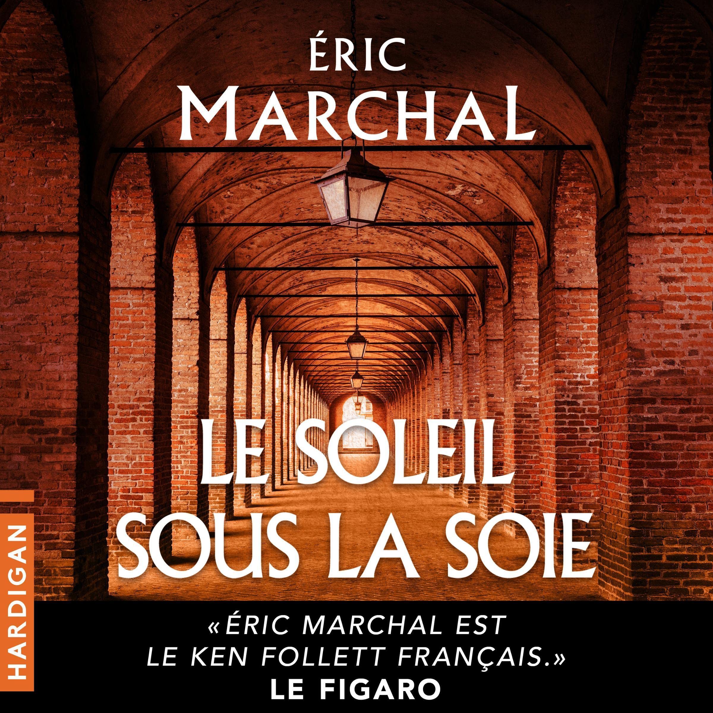 Cover art for Le Soleil sous la soie