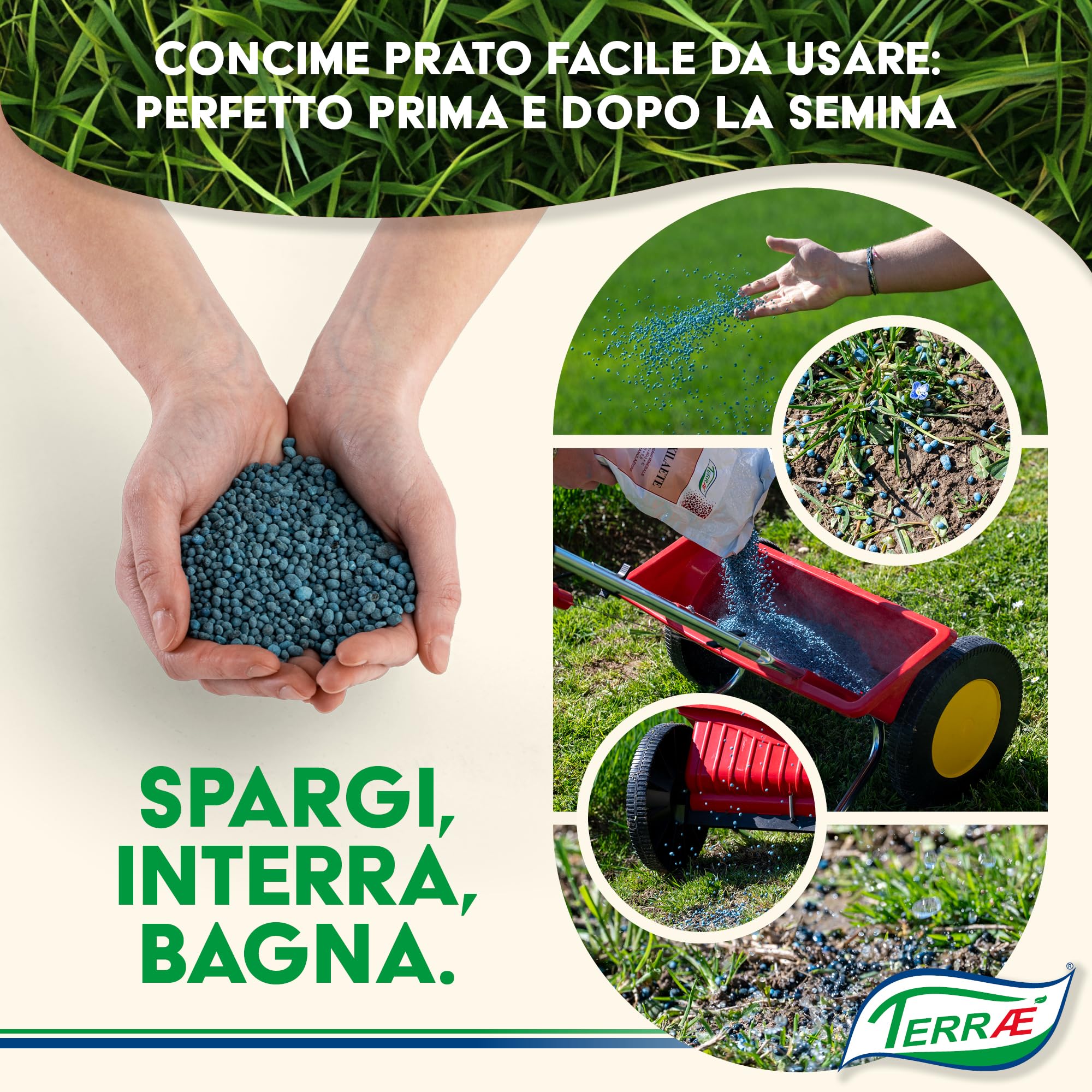 Concime Prato Estate 5 KG - 165m² | Effetto Prato Inglese | Concime Granulare Lenta Cessione per Tappeto Verde Rigoglioso | Fertilizzante Prato Erboso con Antimuschio per Erba Sana | NPK