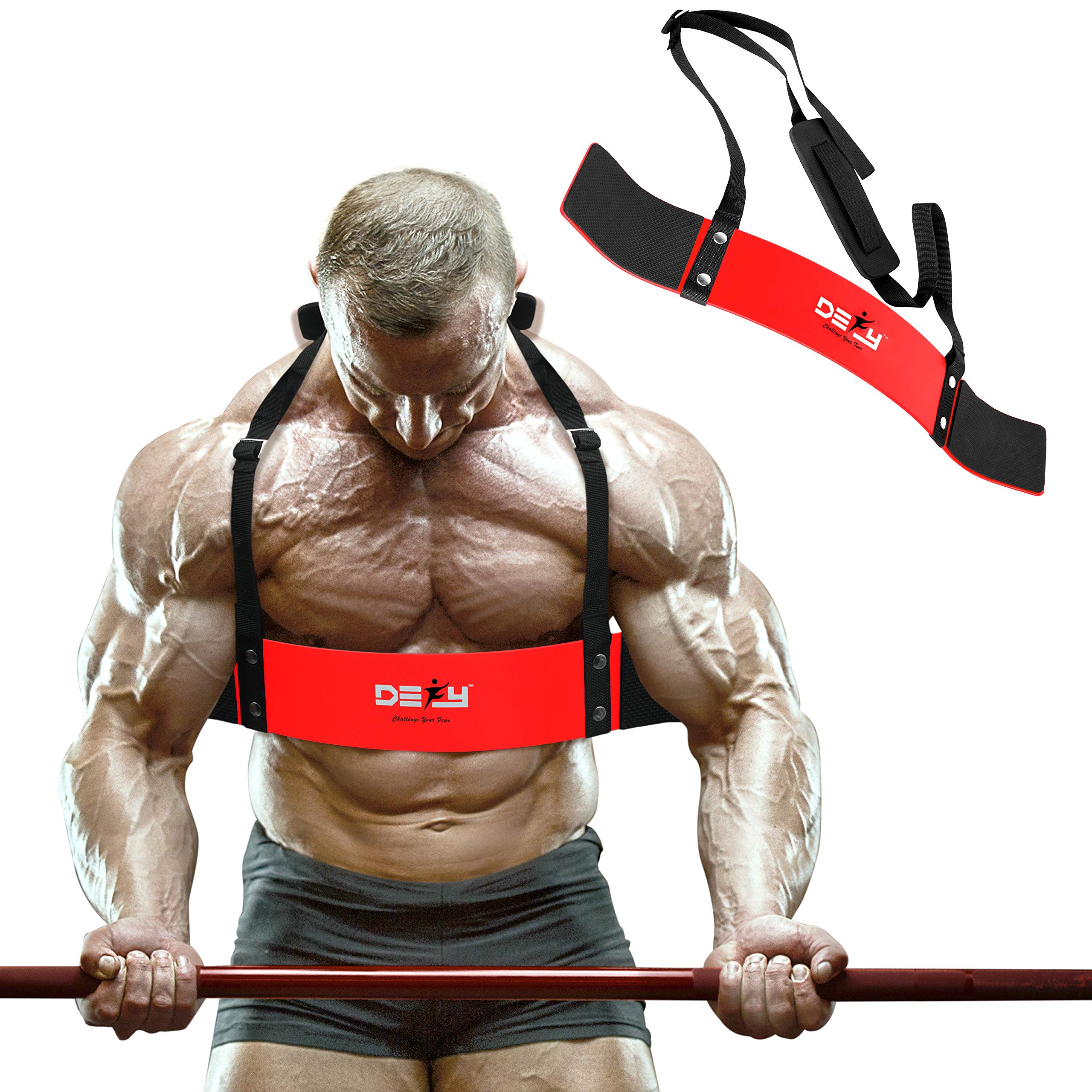 Arm Blaster Triceps Workout at Marjorie McGinty blog