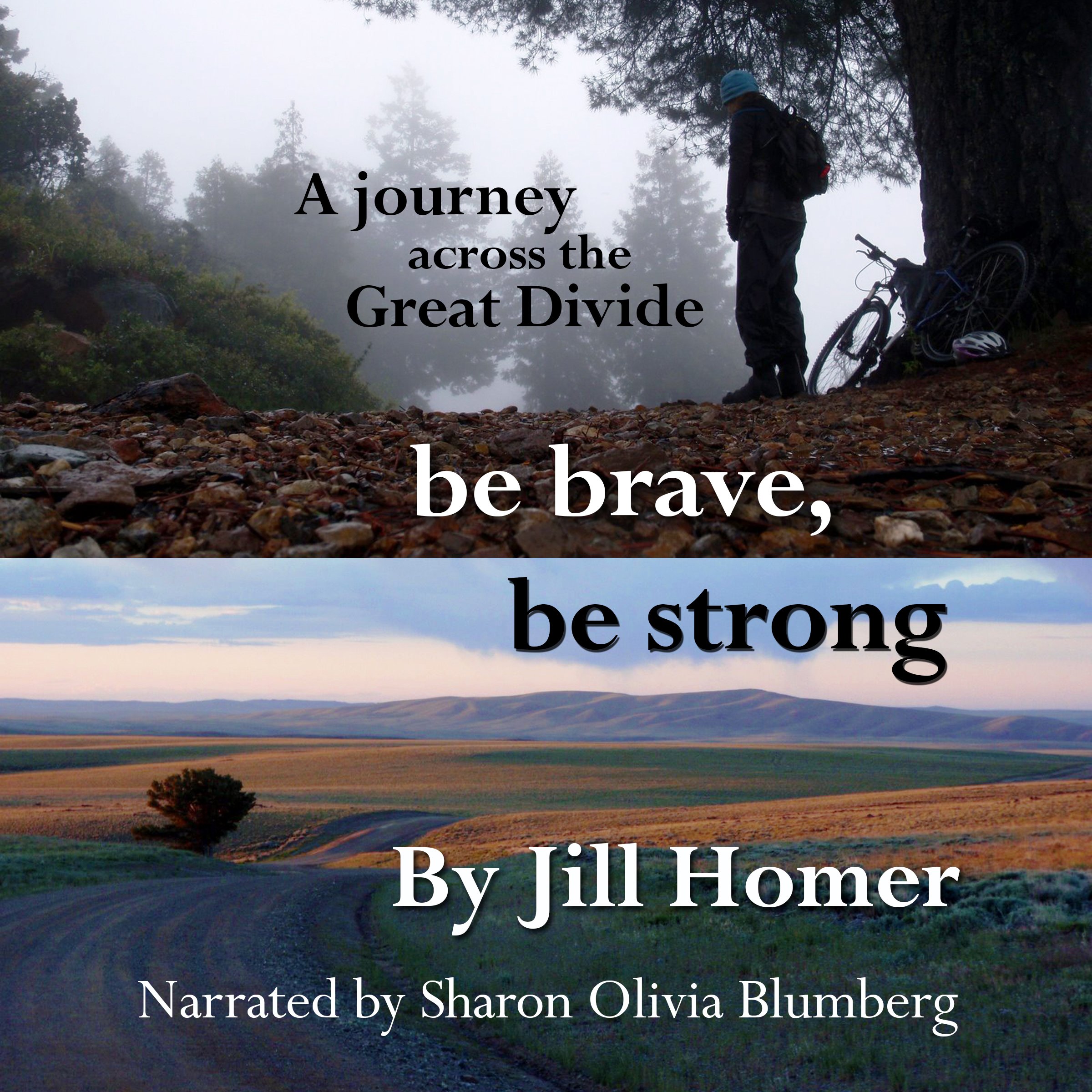 Cover art for Be Brave, Be Strong