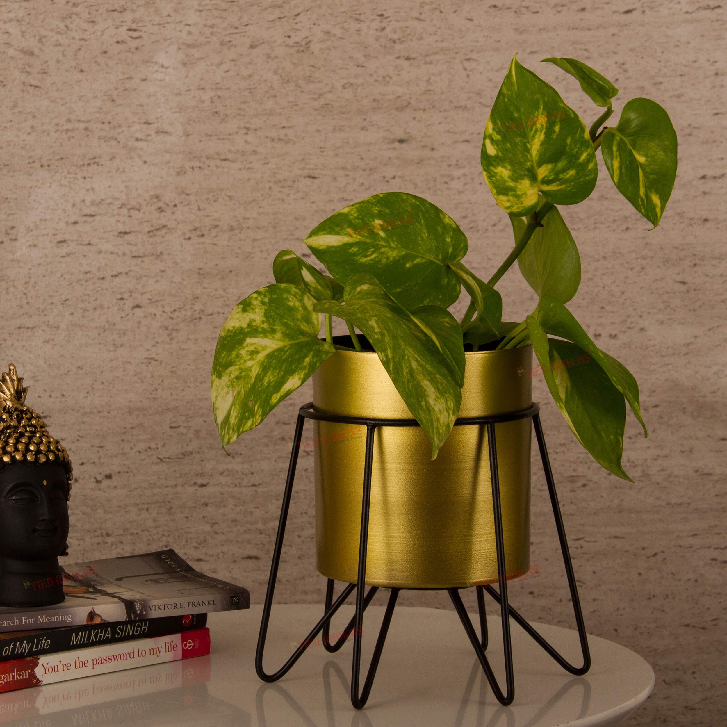 See full amazon price history chart for TIED RIBBONS Metal Planter Pot with Stand for Indoor Plants Living Room Bedroom Home Office Tabletop Decoration (Metal, Golden) TIED RIBBONS Metal Planter Pot with Stand for Indoor Plants Living Room Bedroom Home Office Tabletop Decoration (Metal, Golden) (B08WK93DVJ) Amazon Price History, Amazon Price Tracker
