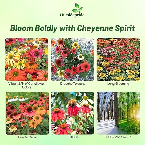 Miniatura 2 de Outsidepride Cheyenne Spirit Semillas de equinácea equinácea  10 piezas de semillas perennes, tolerantes a la sequía, mezcla de semillas de