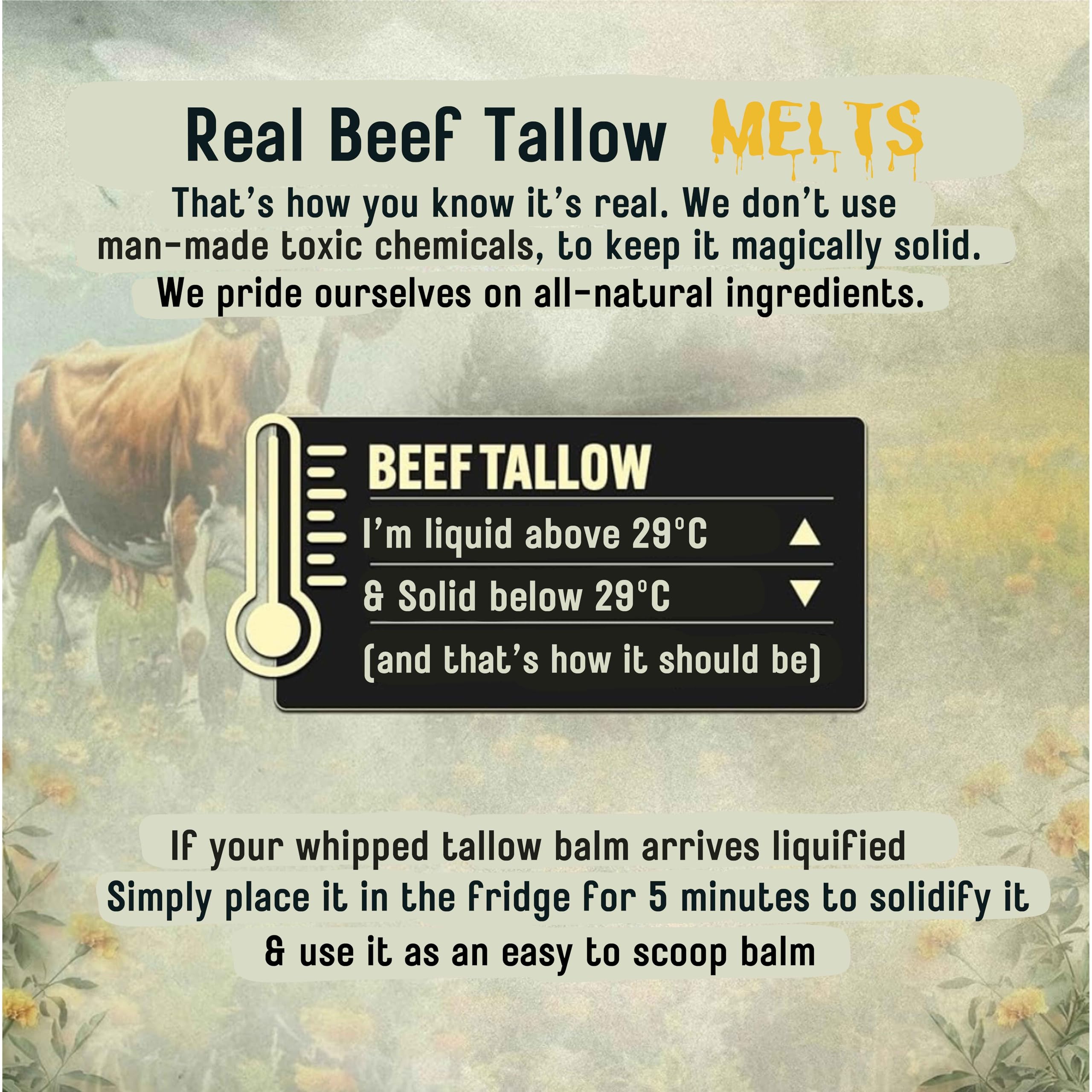 Beef Tallow Whipped Balm, Grass Fed Beef Tallow Face Cream & Moisturiser - Image 4
