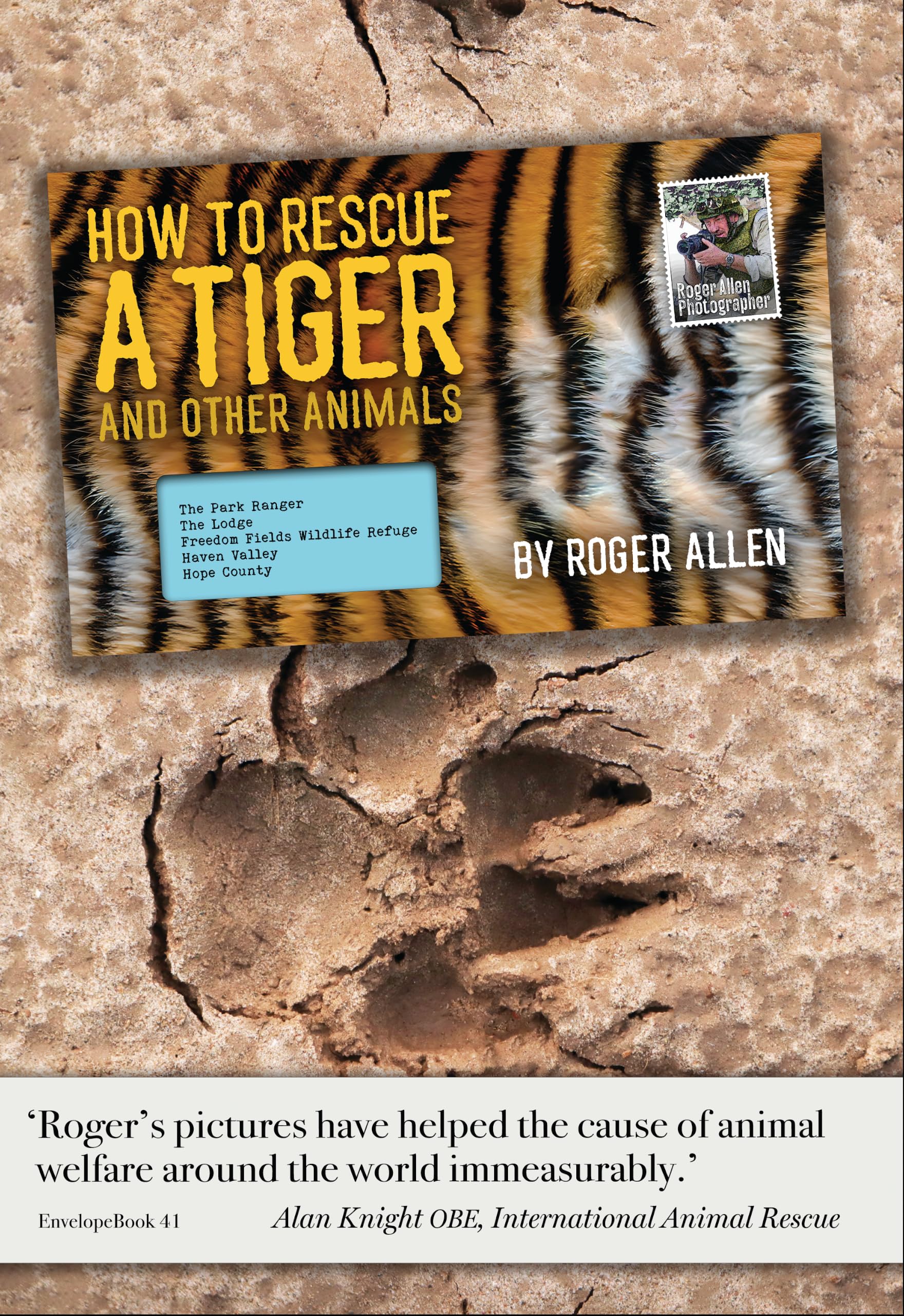 How to Rescue a Tiger by Roger Allen - 9781915023575
