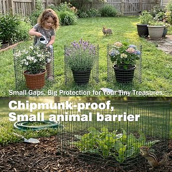 12 x 16 Plant Protectors from Animals 8 Pack