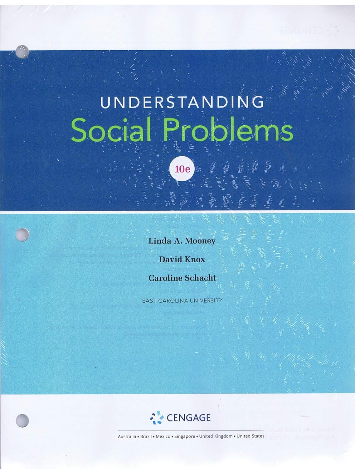 Understanding Social Problems Mooney, Linda A., Knox, David, Schacht