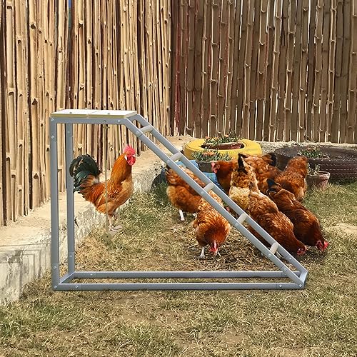 Vista 12 de Esenciales de perca para gallinero: perfecto para aves de corral de patio, fácil instalación y juguetes de gallo de granja para pollos