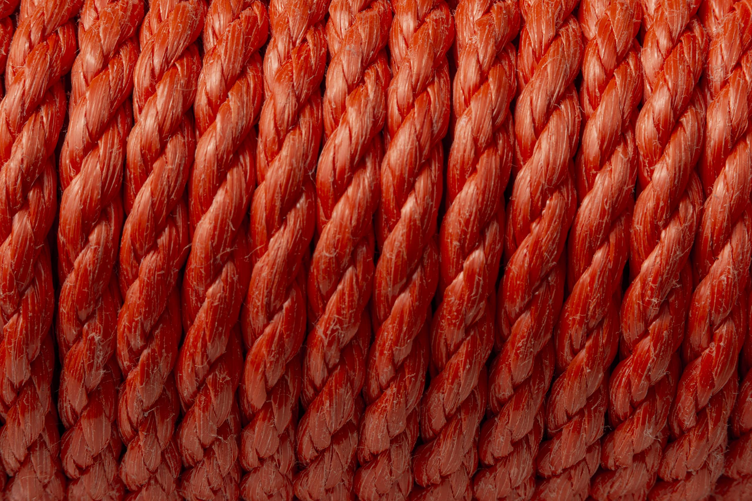 IPEA Treccia Galleggiante Corda Galleggiante per Barca, Nautica, Salvagente – 30 Metri – Made in Italy ­– Cima Galleggiante per Imbarcazioni e Anulari – Spessore 8 mm