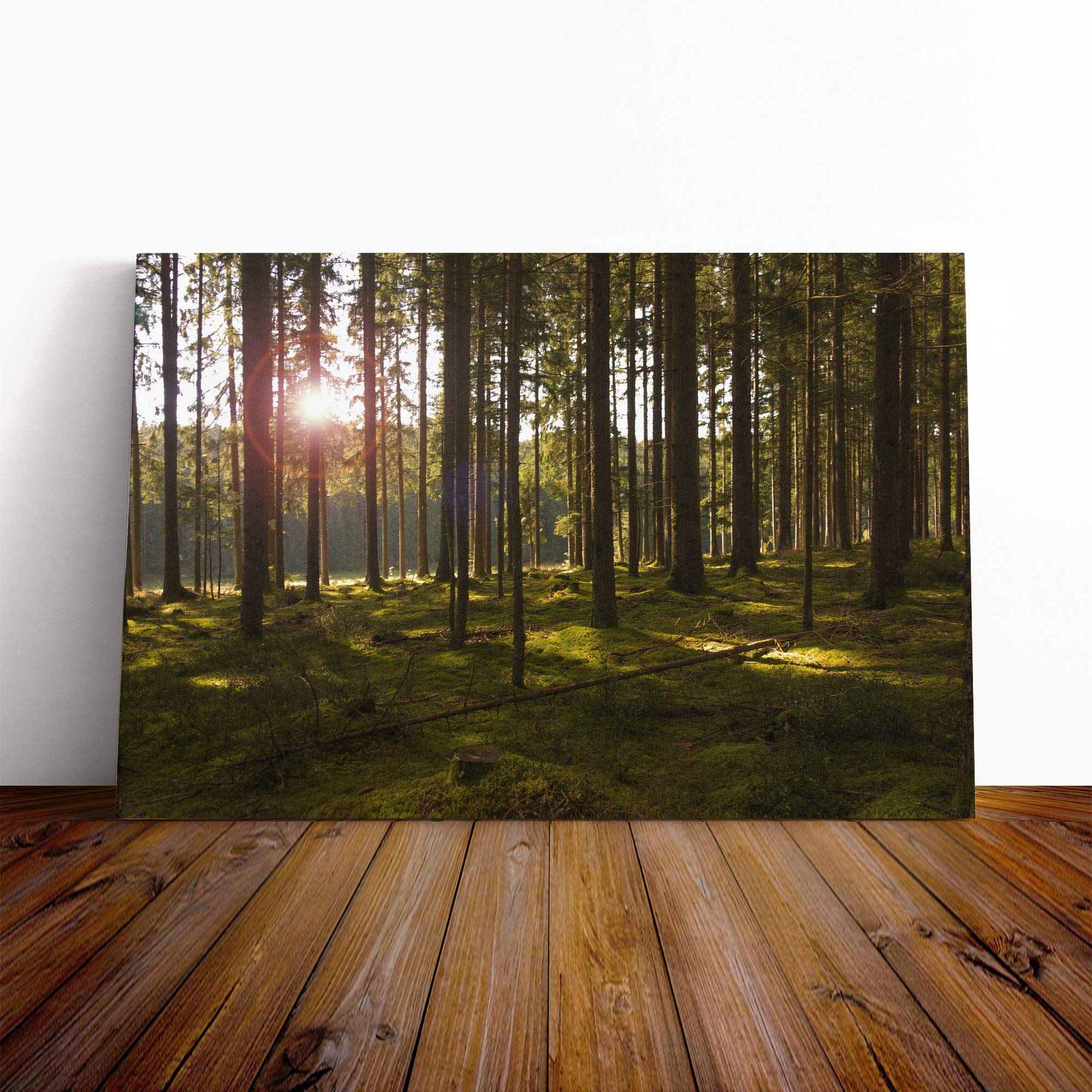 Landscape Sunlight Through Forest Woodland (3) Canvas Print | Gallery Wrapped 30mm Frame Wall Art | 30x20 inches | Ready to Hang | Modern Landscape Picture | Living Room Bedroom Lounge Office