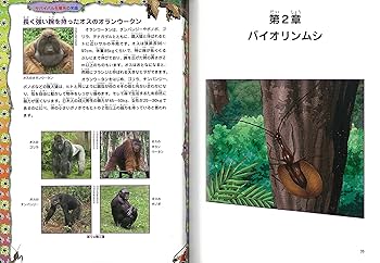 ジャングルのサバイバル　全10巻  大長編サバイバルシリーズ 洪在徹 李泰虎 ジャングルのサバイバル 10 (大長編サバイバルシリーズ) | 洪在