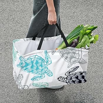 ★[超特価セール]★日本初入荷★ALLY BAG 正品★BIG SIZE Ali Bag 2.0 Full Size | The Lemon Drop Shop