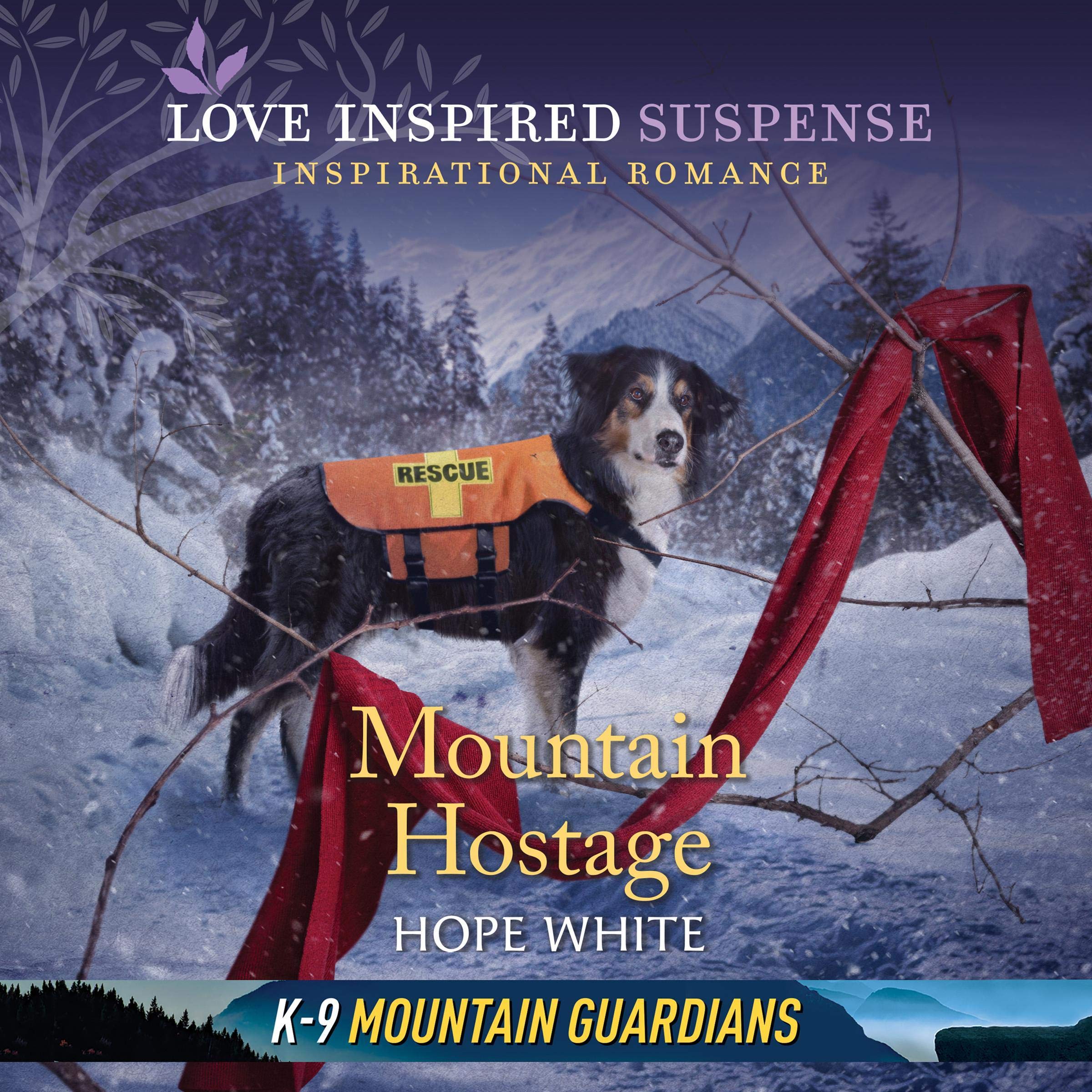 Cover art for Mountain Hostage