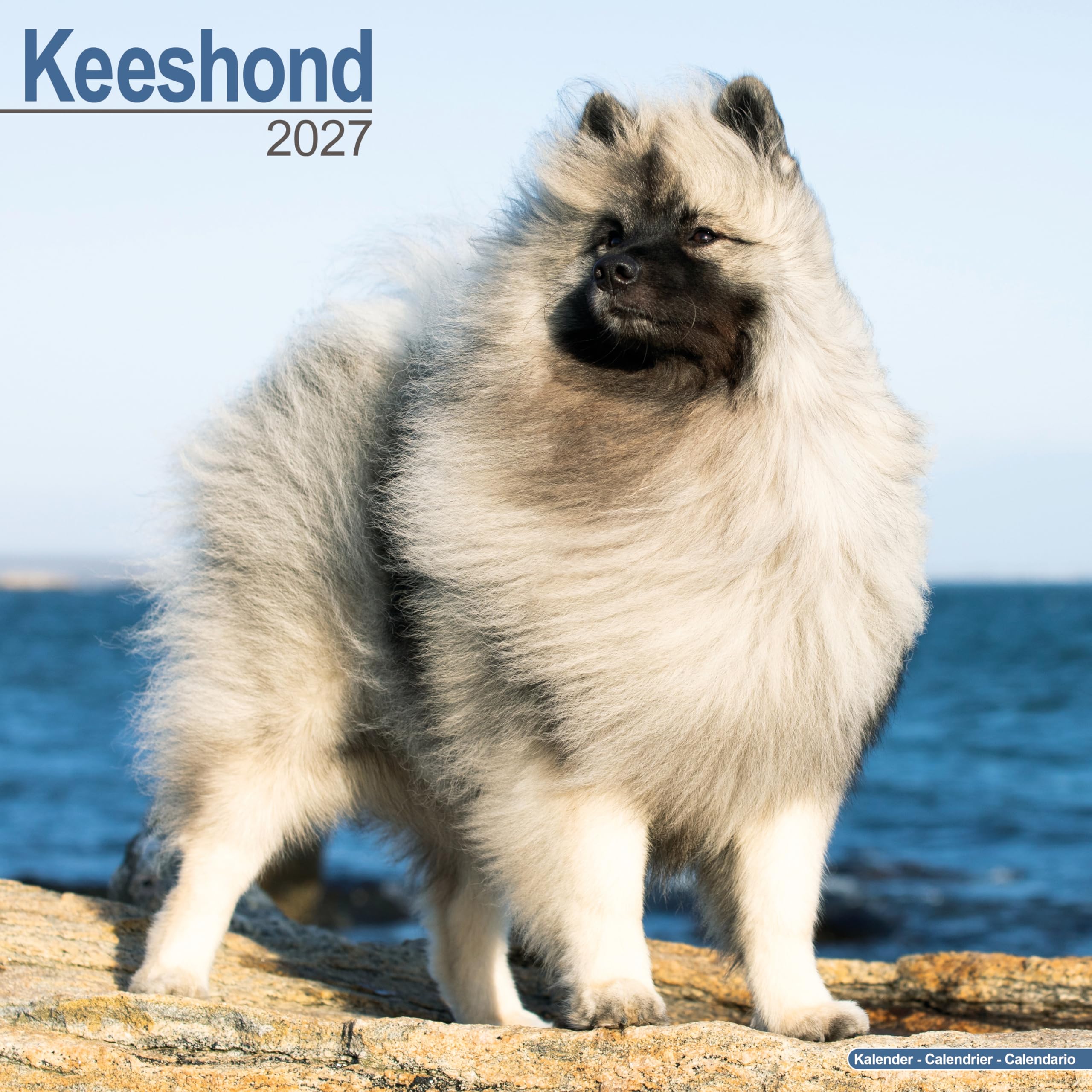 Keeshond Calendar 2027