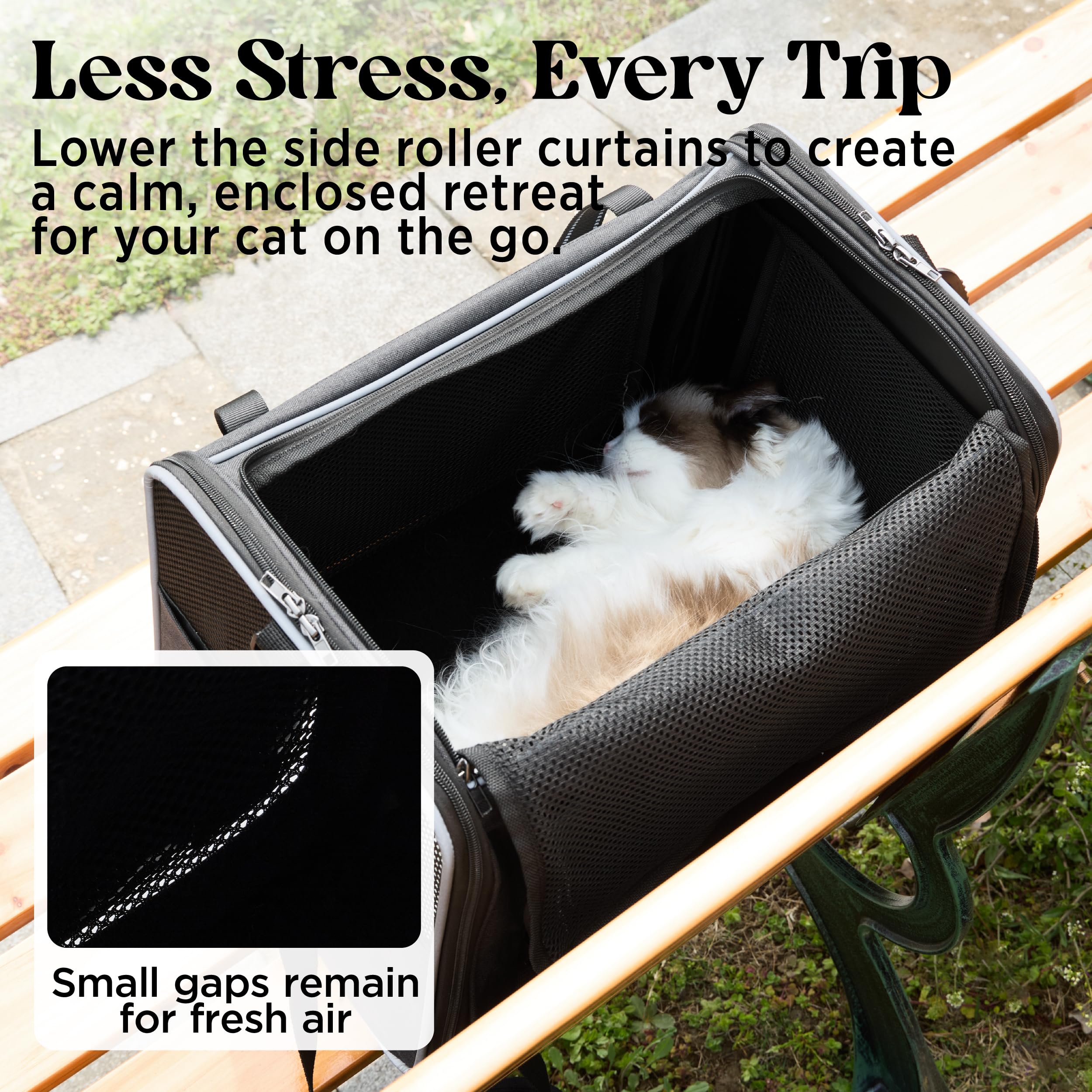 Lesure Faltbare Katzen Transportboxen für Reisen - Formstabile Katzentransporttasche mit atmungsaktivem Mesh, Auto-Sicherheitsgurt, Schultergurt & herausnehmbarer Matte, 43.5x29.5x34cm, Schwarz