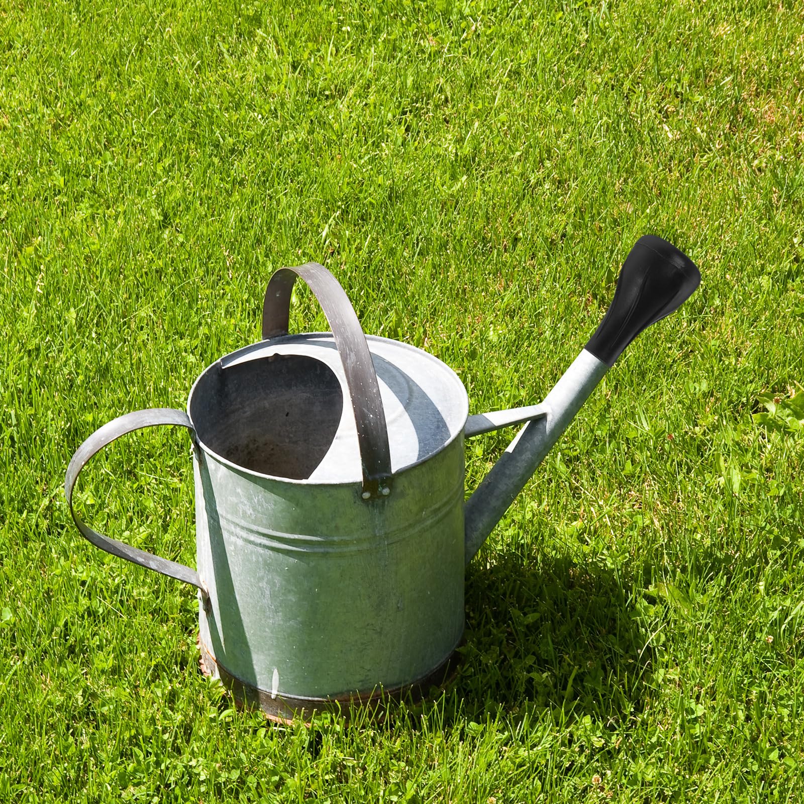 Gießkannen Sprinklerkopf Aufsatz Giesskanne für Bonsai und Kräuter
