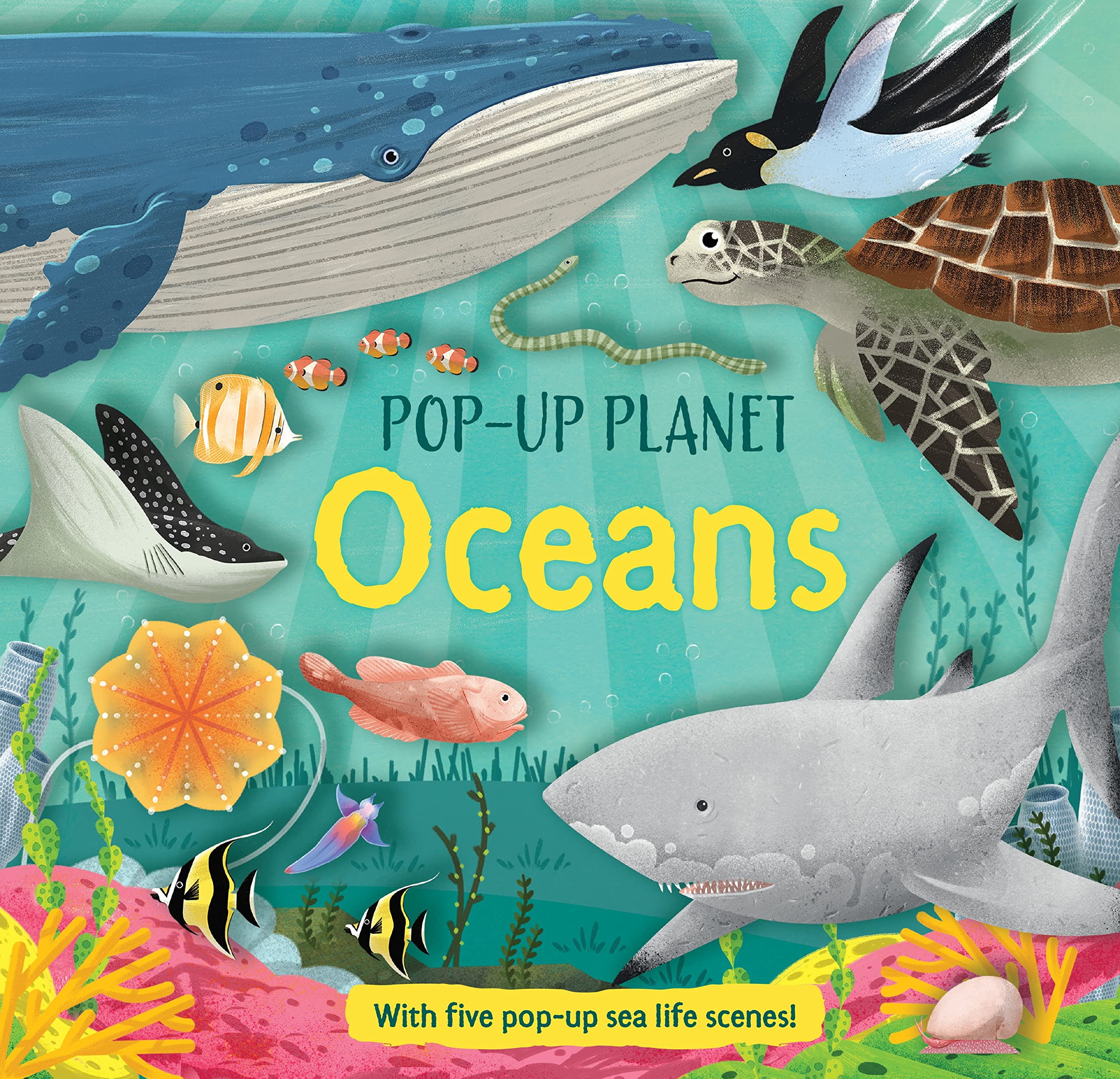 Pop-Up Planet: Oceans: 2 (Pop Up Planet, 2) Hardcover – 13 April 2023