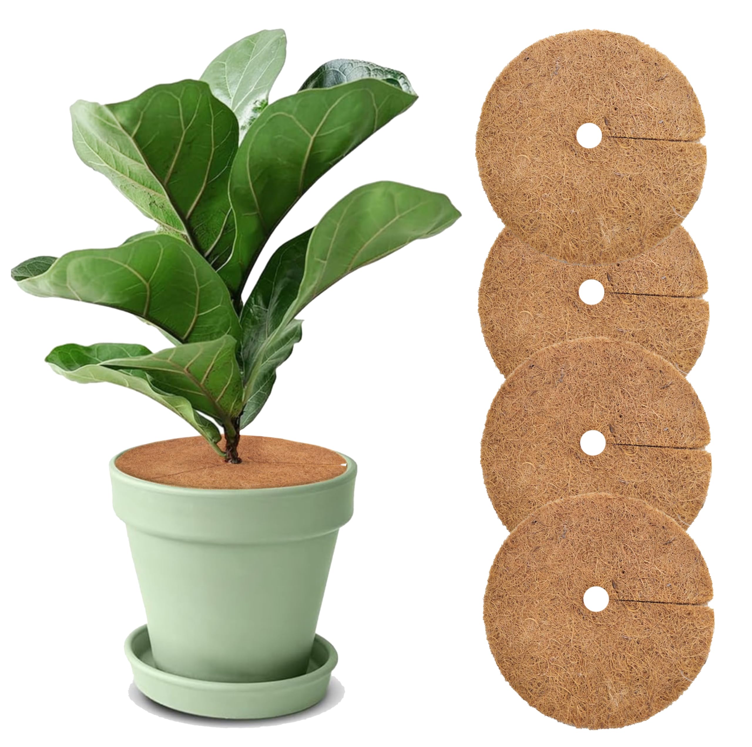 Smart Garden Premium Coco Coir Mulch Mats for Pots | Coconut Fiber Tree Ring Discs for Weed Control & Moisture Retention | All Natural Organic Round Planter Cover (Set of 5, 10 INCH)-image-41