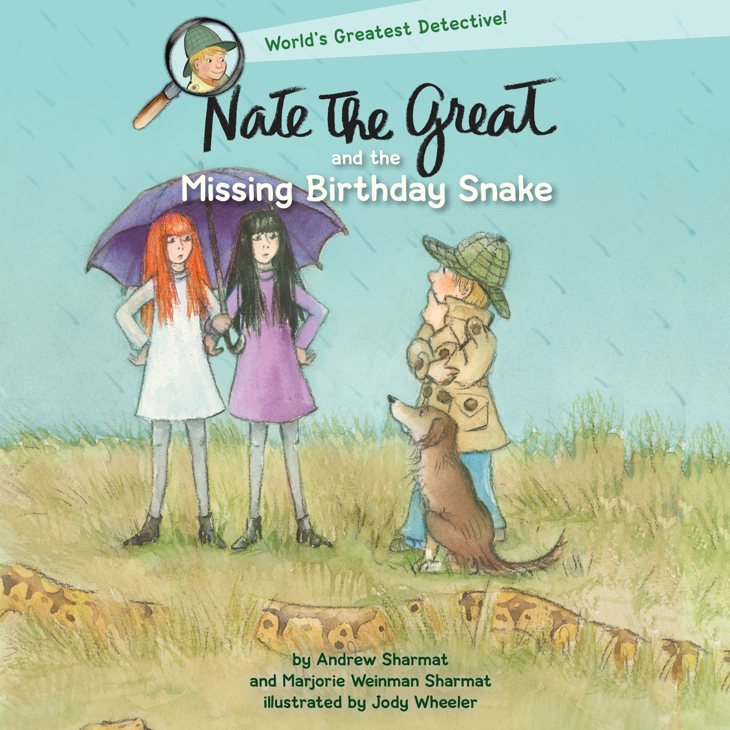 Cover art for Nate the Great and the Missing Birthday Snake