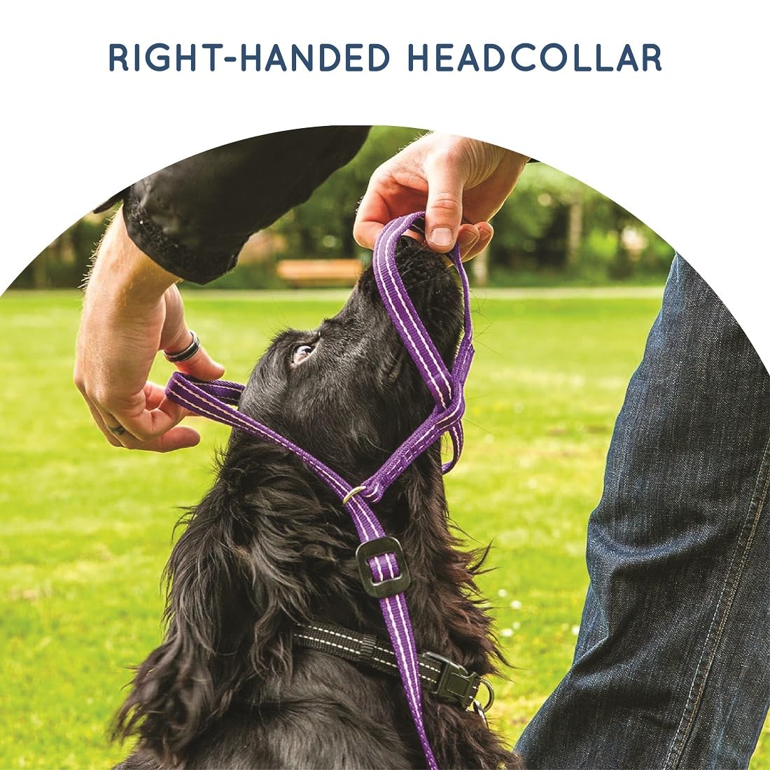 Gencon - Collar grande antitirones para perro, aprobado por entrenador, control suave y suave, práctica ayuda para el entrenamiento y el comportamiento del perro, mano derecha, fabricado en el Reino