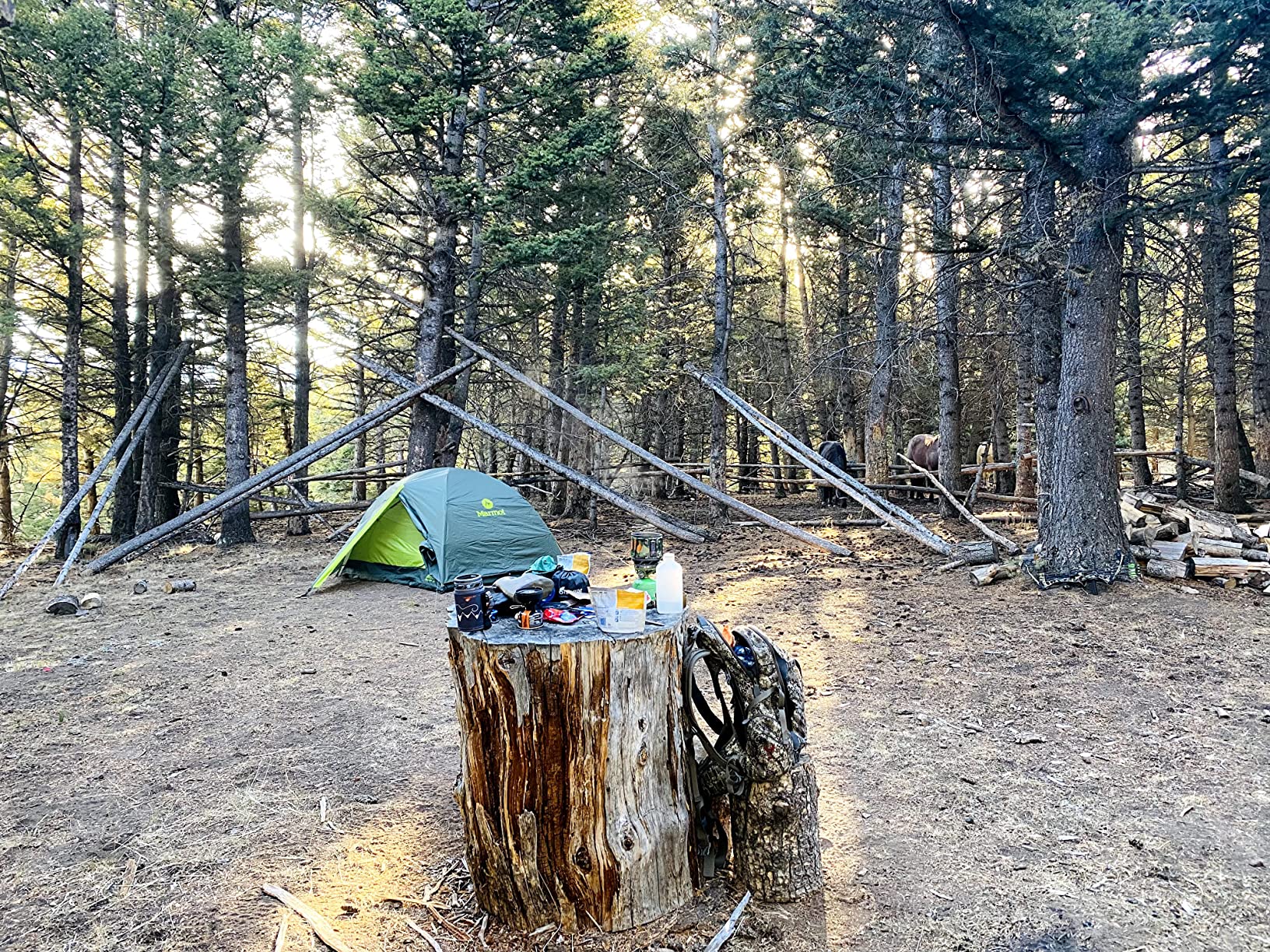 MARMOT Crane Creek 2P/3P Camping and Backpacking Tents & Footprints customer photo 4