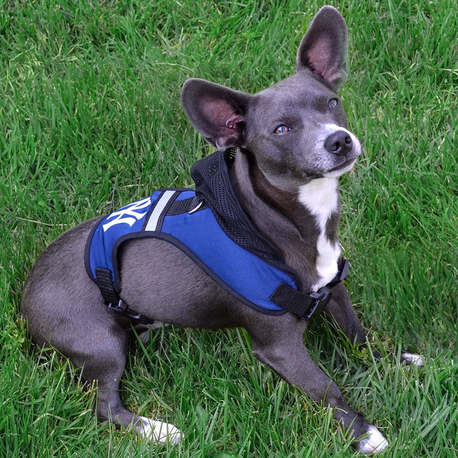 Pets First New Orleans Saints Harness, Medium