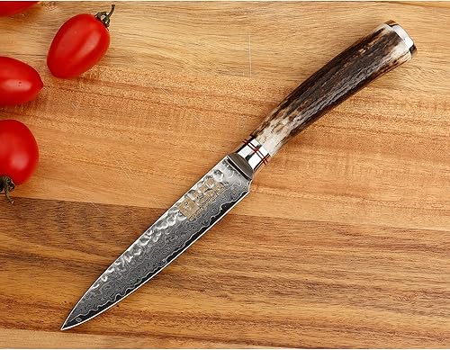 Vista 28 de SUNLONG Cuchillo Santoku de Damasco de 7 pulgadas, cuchillo de chef profesional, japonés de 67 capas, acero de Damasco de alto carbono, mango