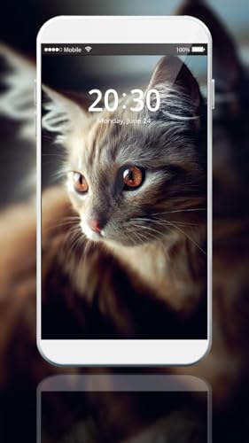 Wallpapers 4K