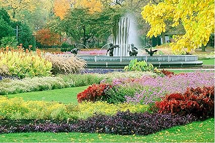 Yellow Alley Nature Poster|Flowers Valley Poster|Wall Sticker|Wall Poster for Decoration|Poster for Room/Hostels/Hotels|Self Adhesive Paper Poster