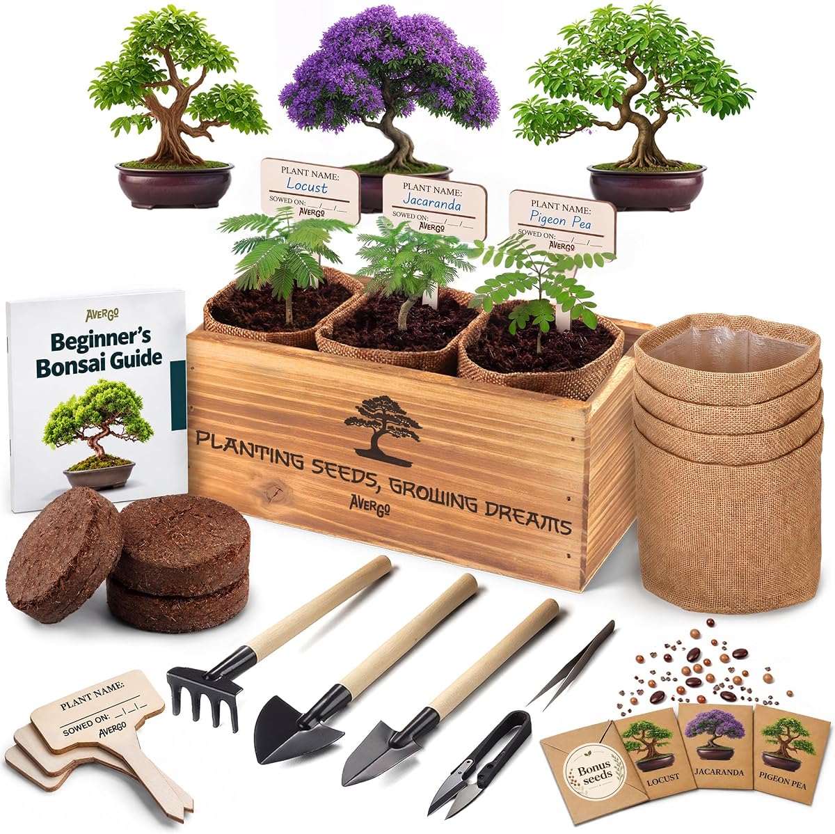Bonsai Tree Kit Classic - Growing 3 Unique Japanese Bonsai Trees