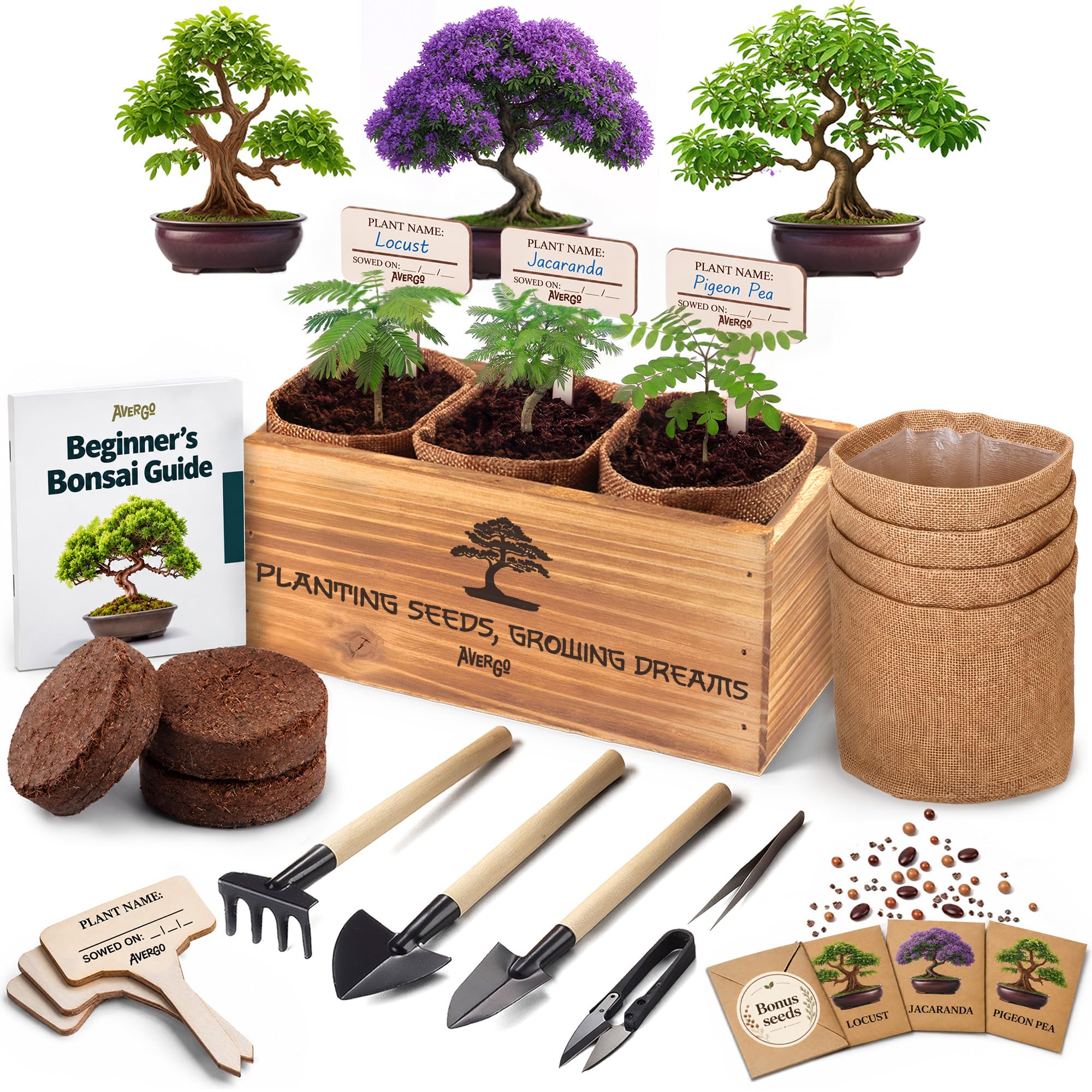 Amazon.com : Bonsai Tree Kit Classic - Growing 3 Unique Japanese