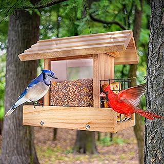 Bird Feeders for Outdoors Hanging - Wooden Bird Feeder Hopper, Cardinal Bird House Feeder, Large Bird Feeder with Suet Holder for Outside, Wild, Outdoors Hanging Pole