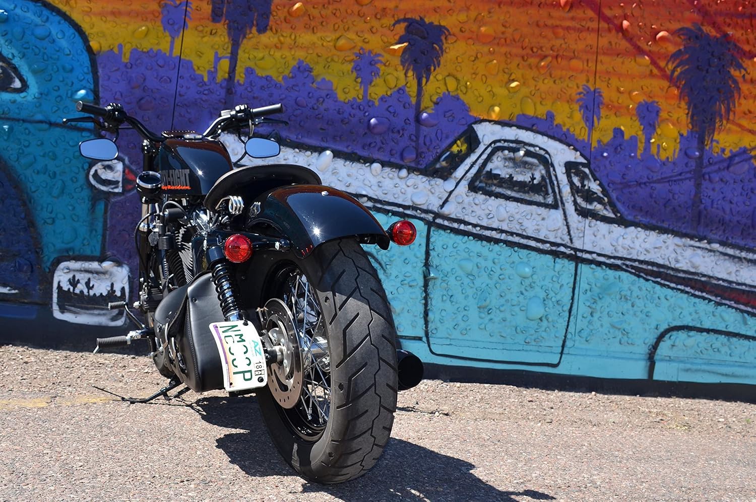 JBSporty ♤ Compatible with Harley Davidson Sportster ♤ Half Moon License Plate Bracket ♧ 1/2" Shock Mount ♧ 48 72 Iron Nightster Roadster Custom