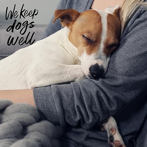 Miniatura 5 de DOGSWELL Remedio y recuperación de control de diarrea para perros, 8 onzas (el embalaje puede variar)