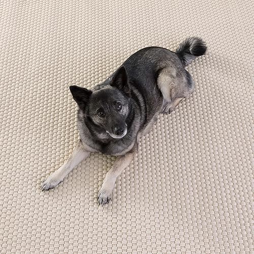 Miniatura 3 de Dash and Albert Rope - Alfombra de área para interiores y exteriores, 2 x 3 pies, color marfil, tejida a mano, duradera, resistente a la