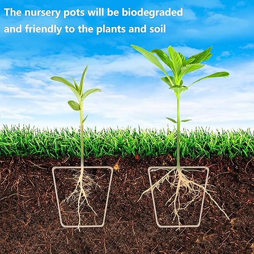 Miniatura 5 de PURPLE STAR 1N 40 macetas de inicio de siembra para plantar, macetas cuadradas biodegradables de 3.1 pulgadas con cúpula de humedad, macetas de