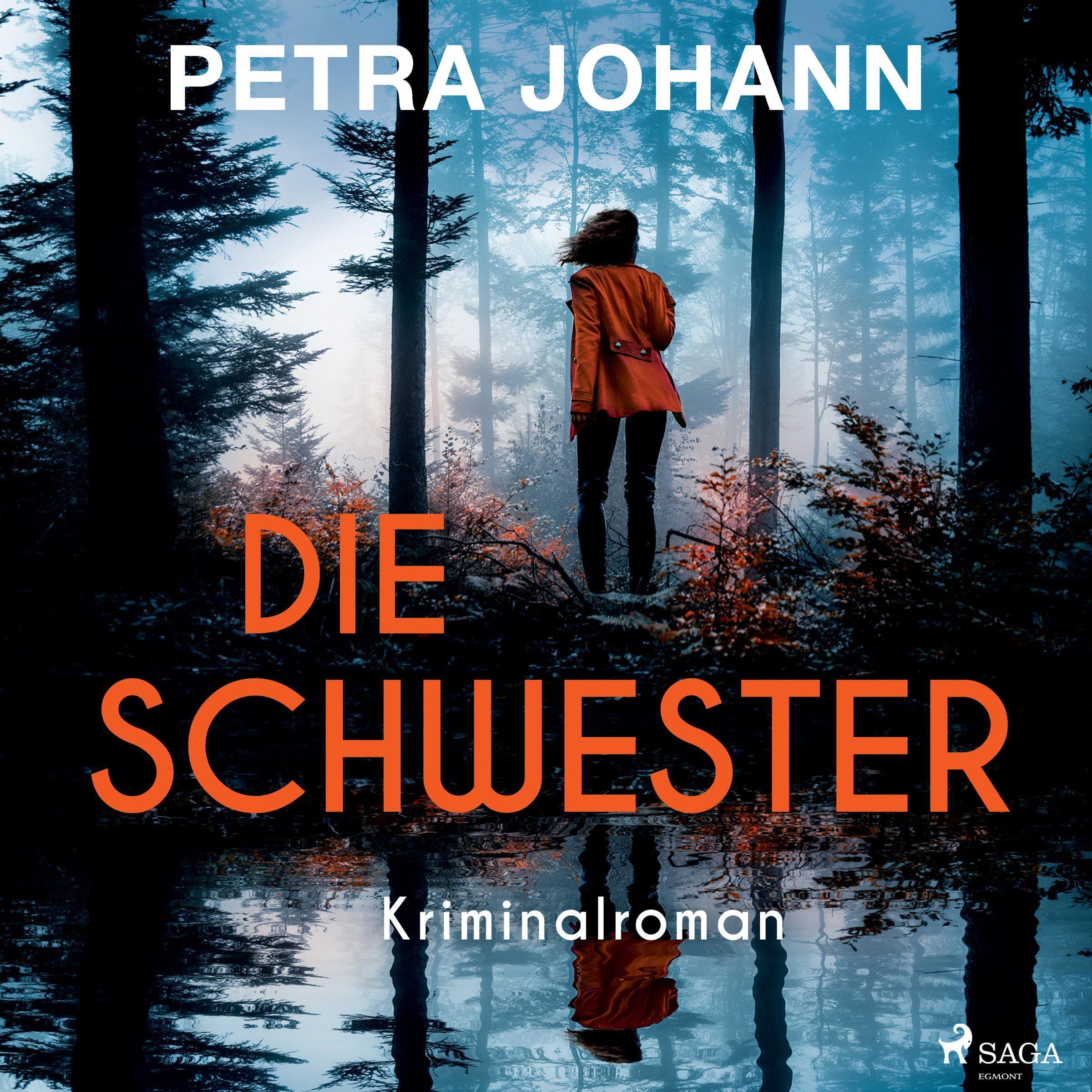Cover art for Die Schwester