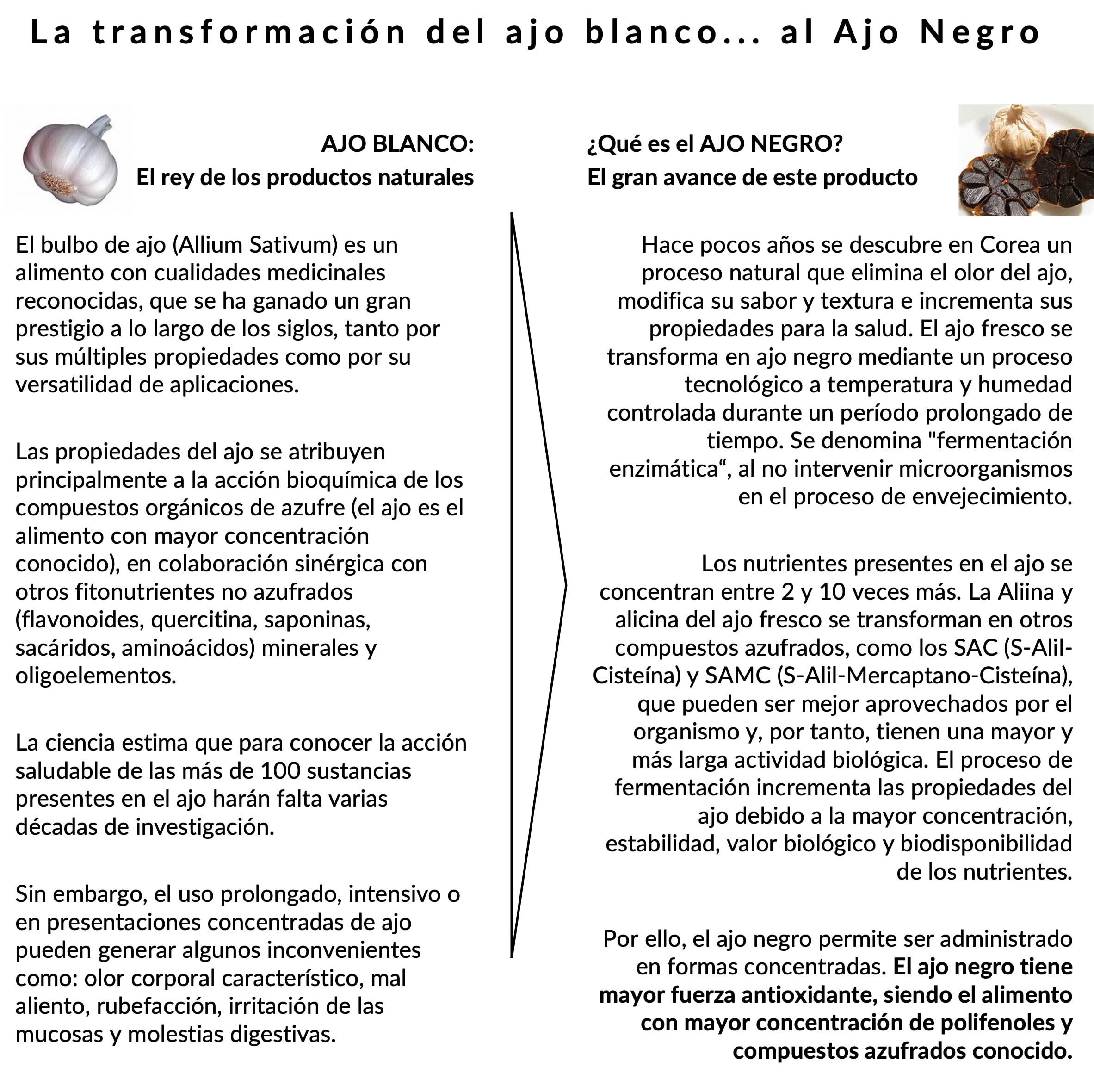 CIRCUL de Ajo Negro Ecológico | Extracto Circulatorio en Gotas (30 ml, 1 mes) – Producto Natural para la Salud Cardiovascular y la Mejora de la Circulación
