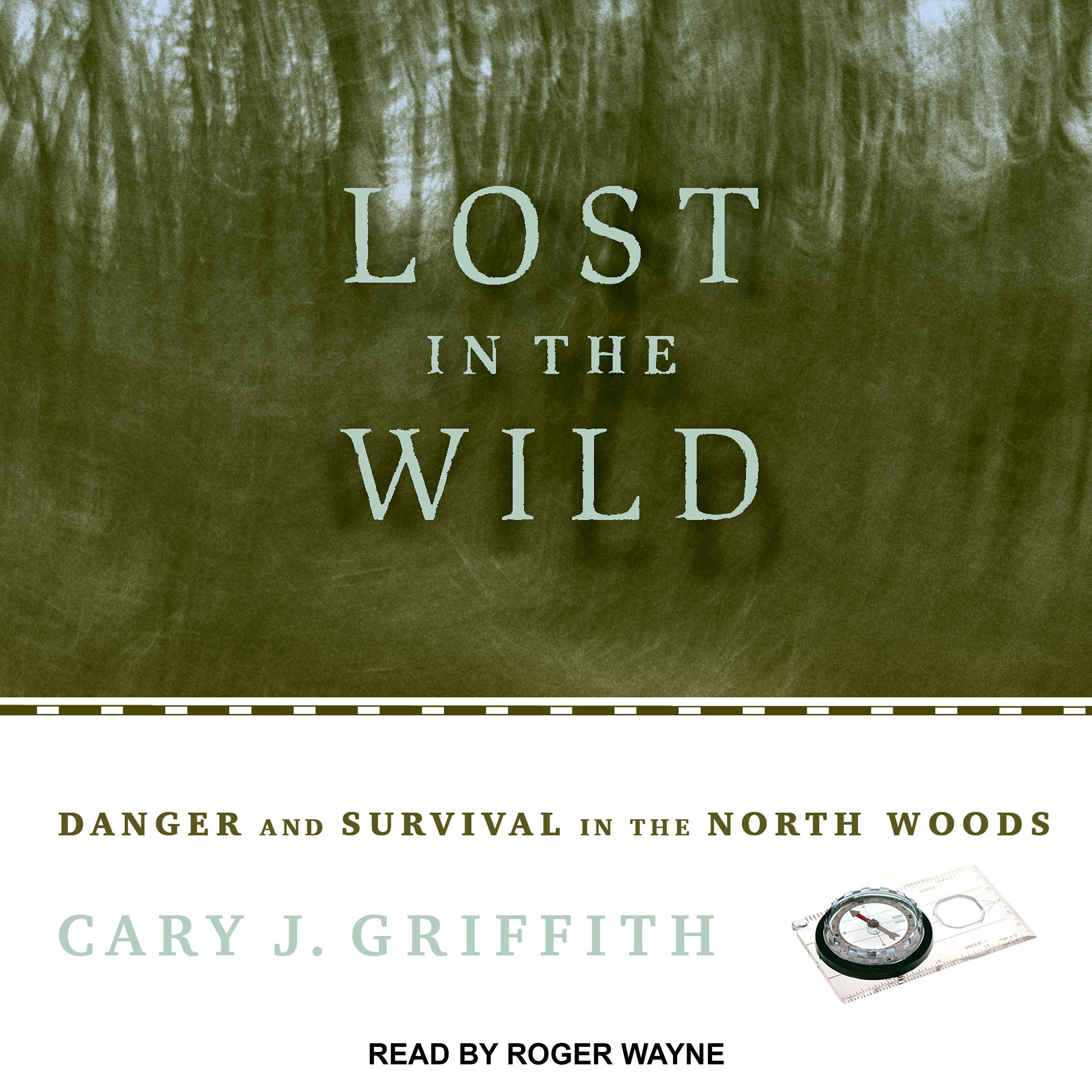 Cover art for Lost in the Wild