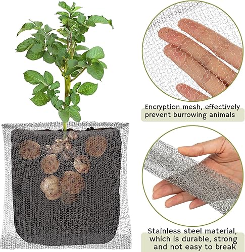 Miniatura 3 de 12 cestas de protección de raíces para plantas, canastilla y campañol de alambre para raíces de tope de acero inoxidable y malla para plantas de