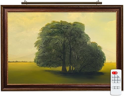 Iluminación de sitio luz LED con control remoto de la serie de visión enchufable, hecha en Estados Unidos (bronce antiguo - 3000 K, 56 pulgadas de