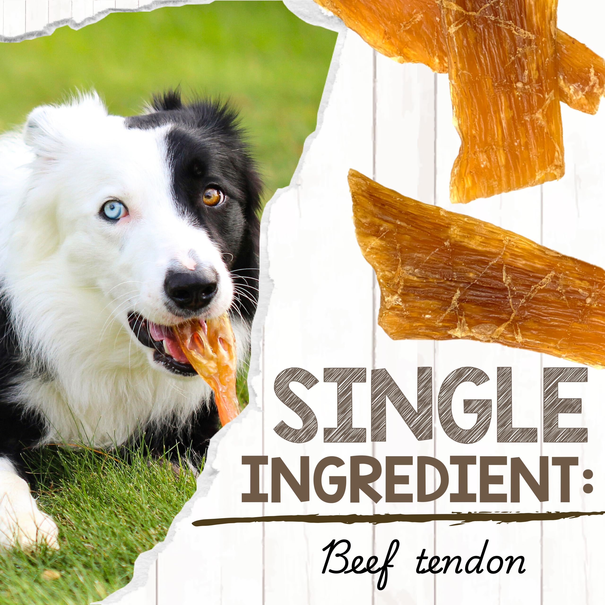 Nature Gnaws Paddywack Sehnen für Hunde – Premium natürliche Rindfleisch-Zahnknochen – Langanhaltende Kau-Leckerlis für mittelgroße und große Hunde – Rohlederfrei