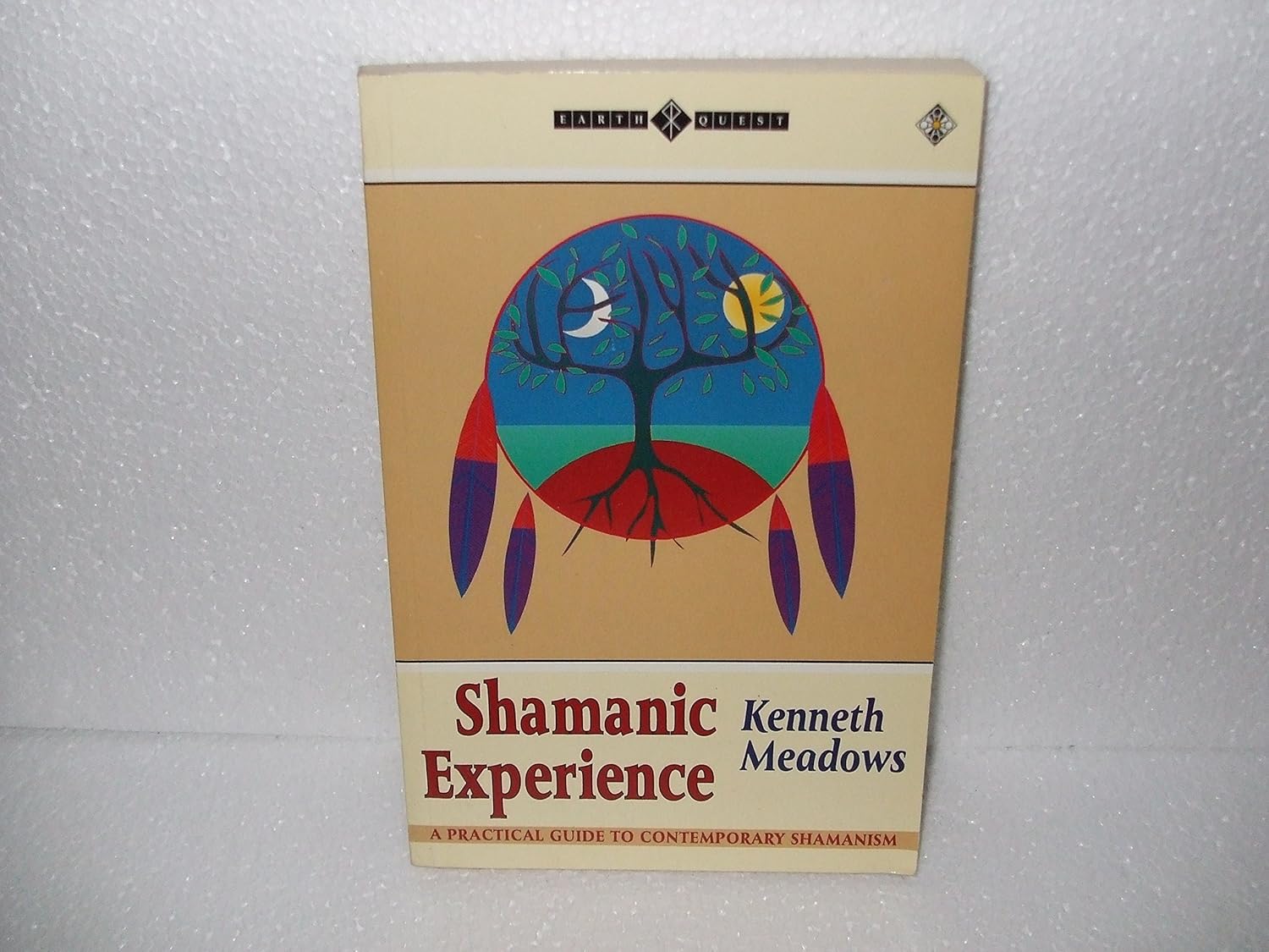 Shamanic Experience A Practical Guide to Contemporary Shamanism (Earth