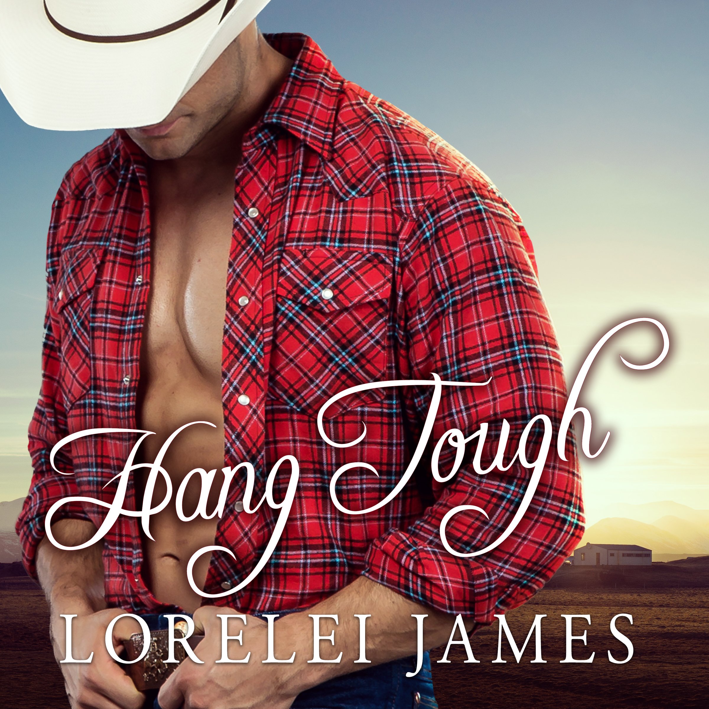 Cover art for Hang Tough