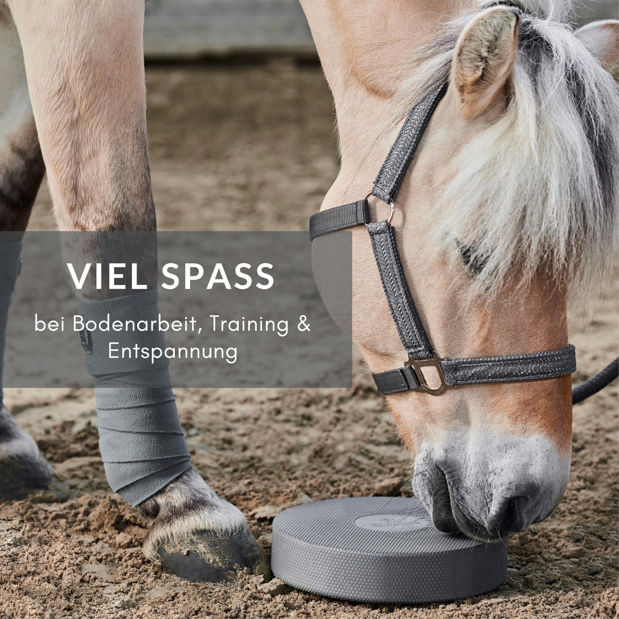 Balance Pad - Set di 2 accessori per il lavoro a terra con cavalli, 2 cuscinetti per cavalli per allenamento variabile e occupazione per cavalli di tutti i tipi