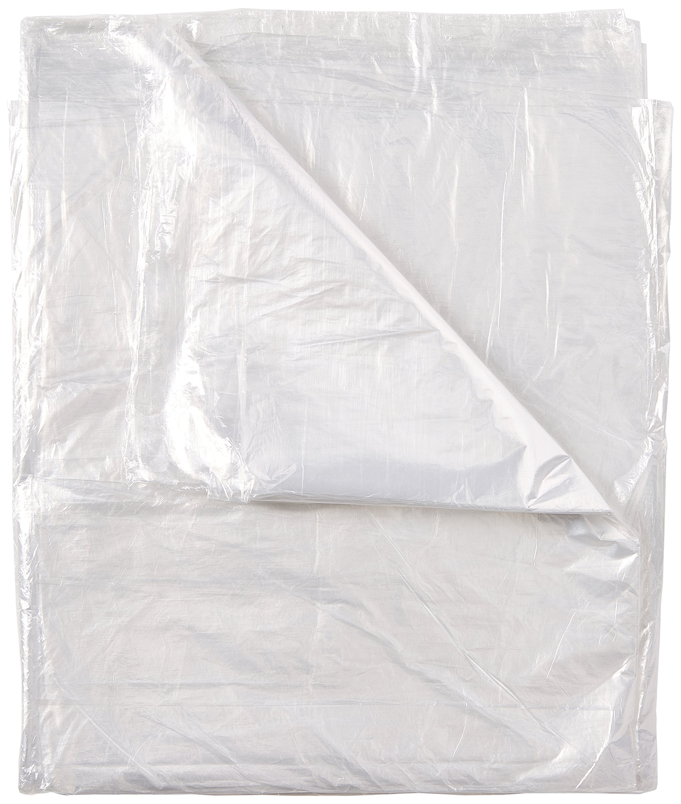 Kingfisher BRDS 4 x 5 m Multi-Purpose Polythene Dust Sheet - Clear