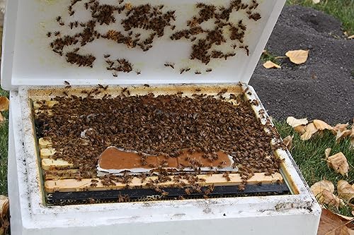 Miniatura 2 de Empanadas de polen para abejas al 15 %  Paquete de 2  1 libra cada uno (peso aproximado)  Suplemento alimenticio de polen de proteínas para abejas