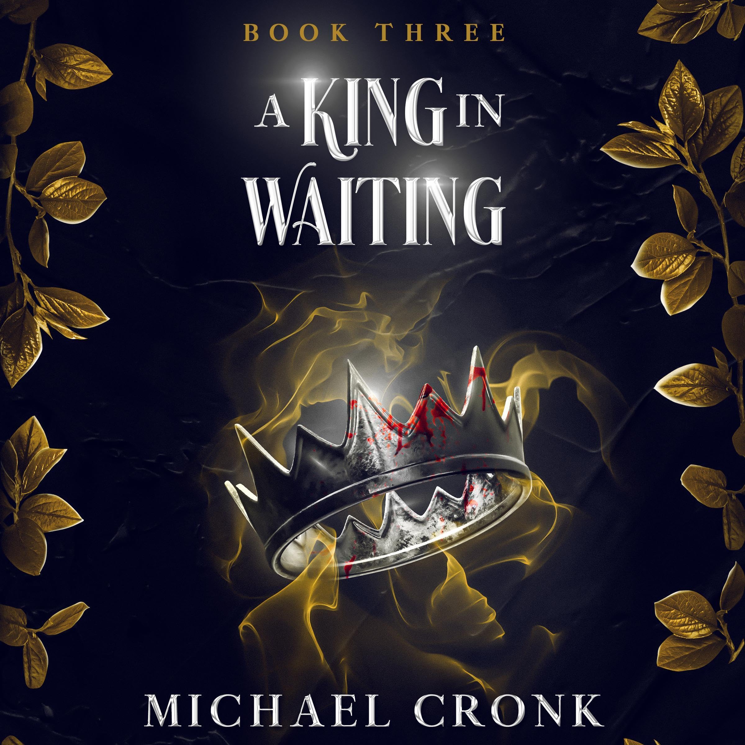 Cover art for A King in Waiting
