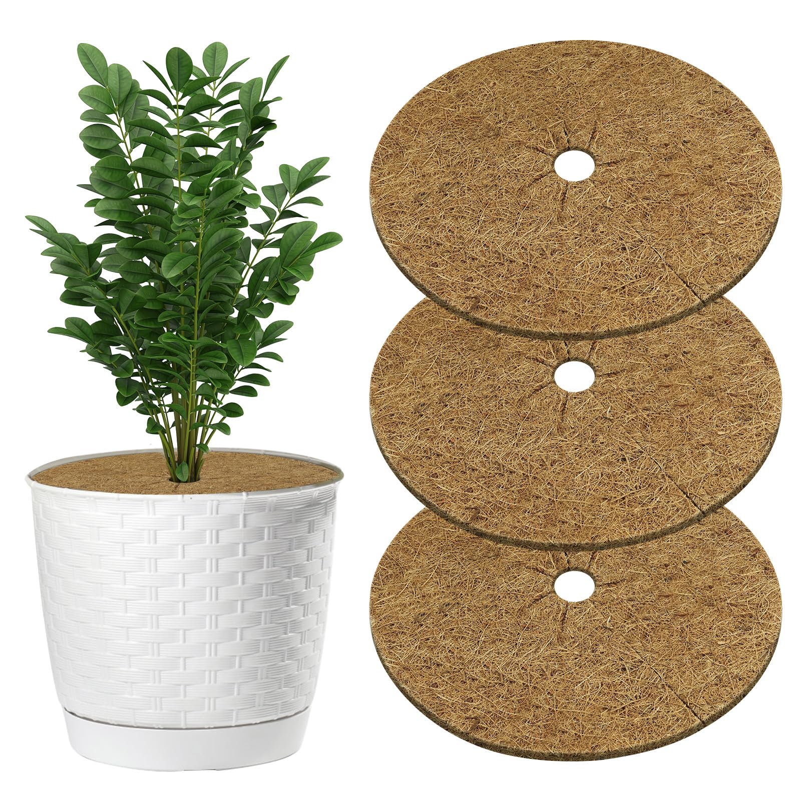 OFFCUP Kokos Mulchscheibe 60cm, 3 Stück Kokosfasermatte Rund Kokosmatte Winterschutz Kokos Pflanzenschutz Kokosscheibe 60cm Kokosmatten für Pflanzenschutz, Kälteschutz, Frost, Schutz vor Nässe